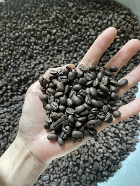 Hoi An:Coffee Making Class (Coffee: egg, Salt, Coconut, ...) - Learning the story behind Vietnamese coffee