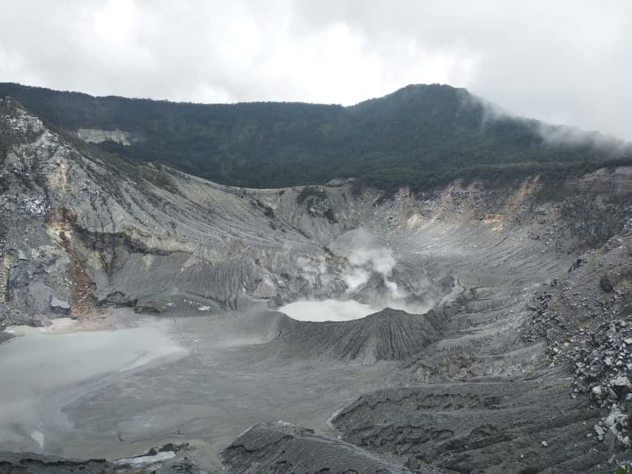 Jakarta :Volcano, HotSpring, Tea Factory, RiceField, &Coffee - At a glance