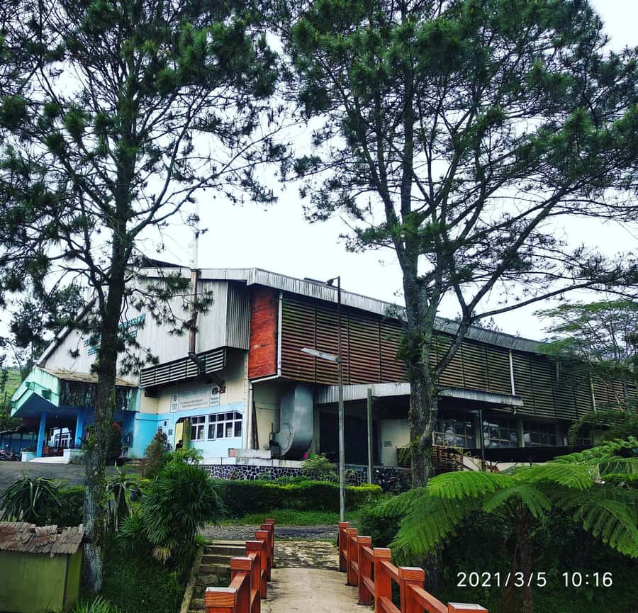 Jakarta :Volcano, HotSpring, Tea Factory, RiceField, &Coffee - A full day from Jakarta into West Java