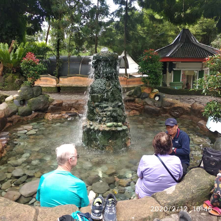 Jakarta :Volcano, HotSpring, Tea Factory, RiceField, &Coffee - Lunch in Lembang, then a Luwak coffee lesson