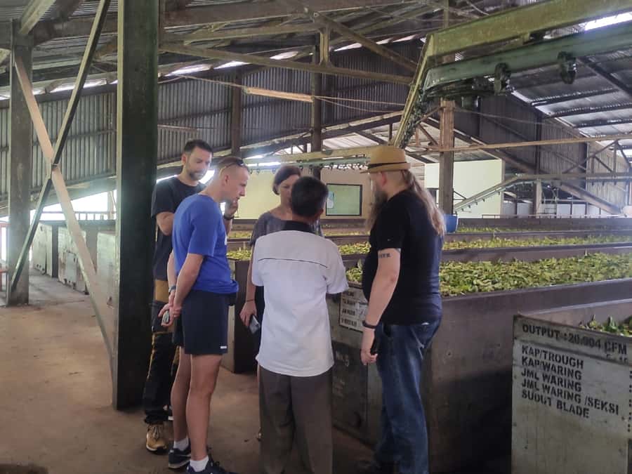 Jakarta :Volcano, HotSpring, Tea Factory, RiceField, &Coffee - The road time and the private-car advantage