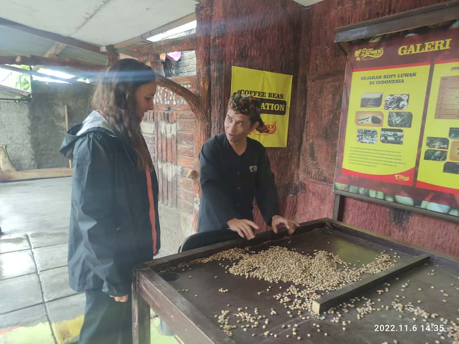 Jakarta :Volcano, HotSpring, Tea Factory, RiceField, &Coffee - What to bring and how to prepare