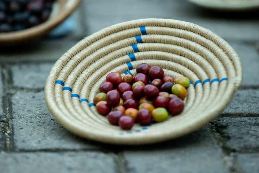 Kigali: Traditional Coffee Experience ( Bean to Brew) - A few practical tips for a better visit