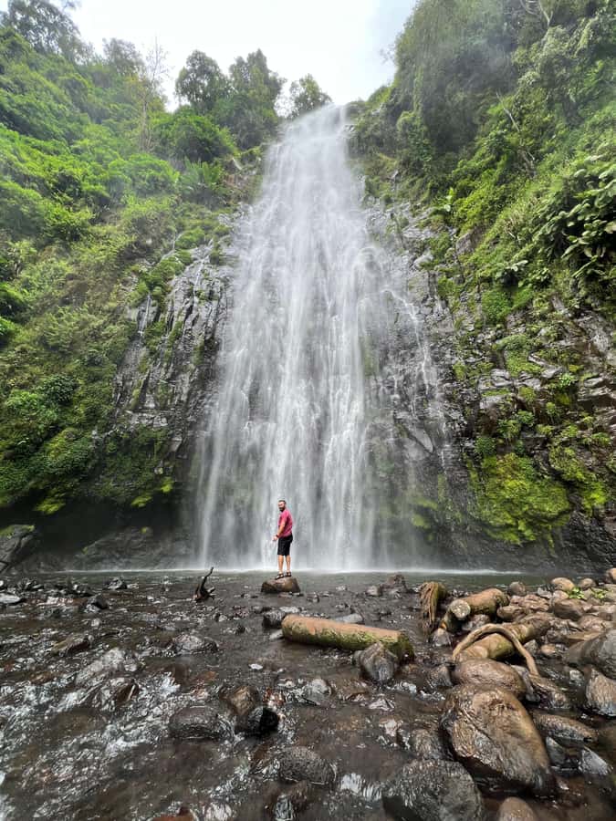 Kilimanjaro: Maasai Village Visit, Waterfalls, & Coffee Tour - Two Kilimanjaro cultures in one long day