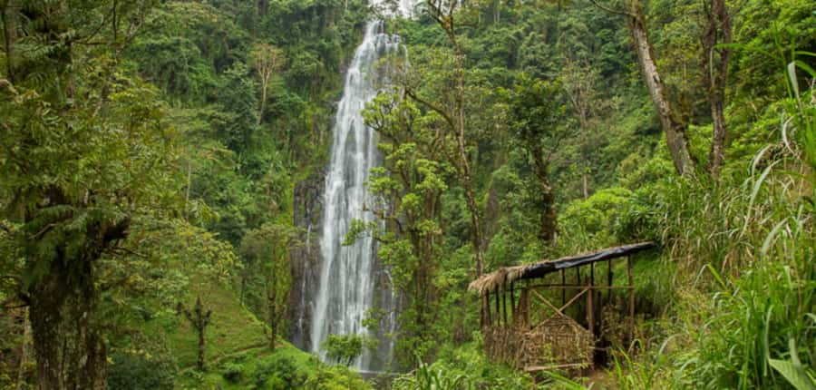 Kilimanjaro: Maasai Village Visit, Waterfalls, & Coffee Tour - Grinding coffee by hand in Materuni