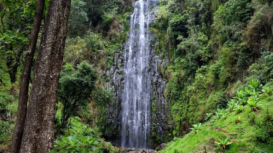 Kilimanjaro: Maasai Village Visit, Waterfalls, & Coffee Tour - What the private format changes