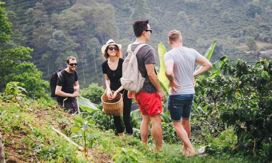 Kilimanjaro: Village Walk, Coffee Tour, Waterfall, and Lunch - Materuni village, coffee, and waterfall in one full day