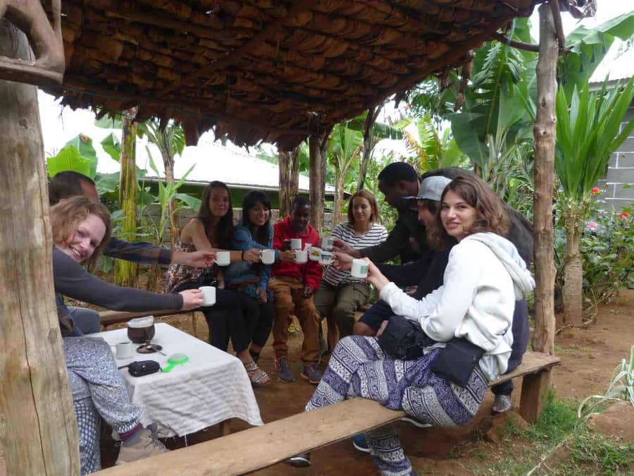 Kilimanjaro: Village Walk, Coffee Tour, Waterfall, and Lunch - Guides, group size, and the feel of the day