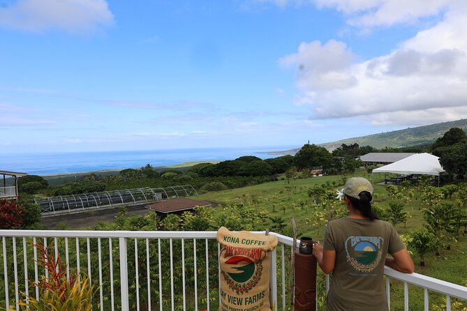 Kona Coffee Farm Tour from Tree to Tasting Room - Following coffee from cherry to green bean