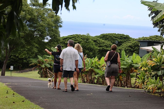 Kona Coffee Farm Tour from Tree to Tasting Room - The roasting room and coffee tasting