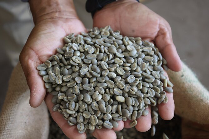 Kona Coffee Farm Tour from Tree to Tasting Room - Buying 100% Kona coffee at the farm shop