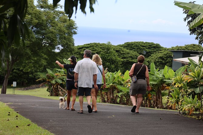 Kona Coffee Farm Tour from Tree to Tasting Room - Getting there and planning the visit