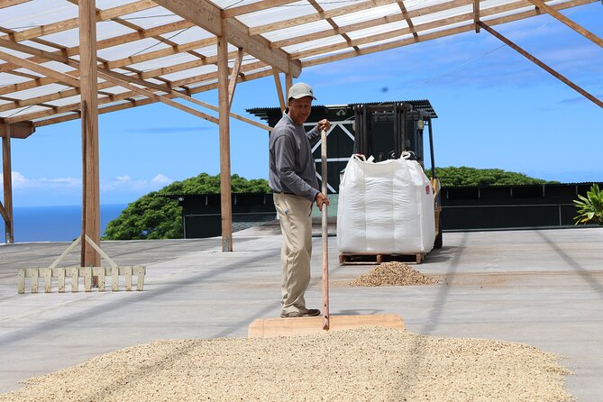 Kona Coffee Farm Tour from Tree to Tasting Room - Fruit trees, tea, and a working farm