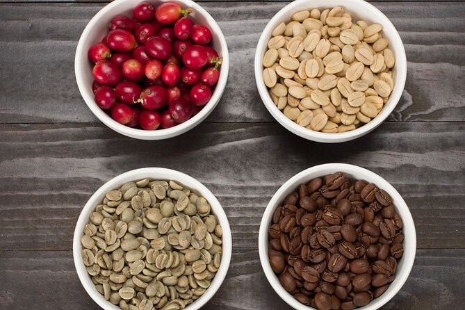 Kona Coffee Tasting: A Farm to Cup Experience - Three Kona coffees, three ways to compare a cup