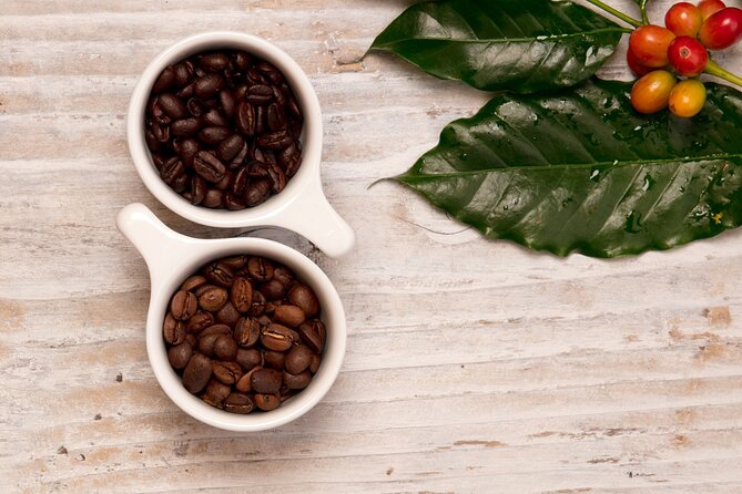 Kona Coffee Tasting: A Farm to Cup Experience - Who will enjoy this tasting most