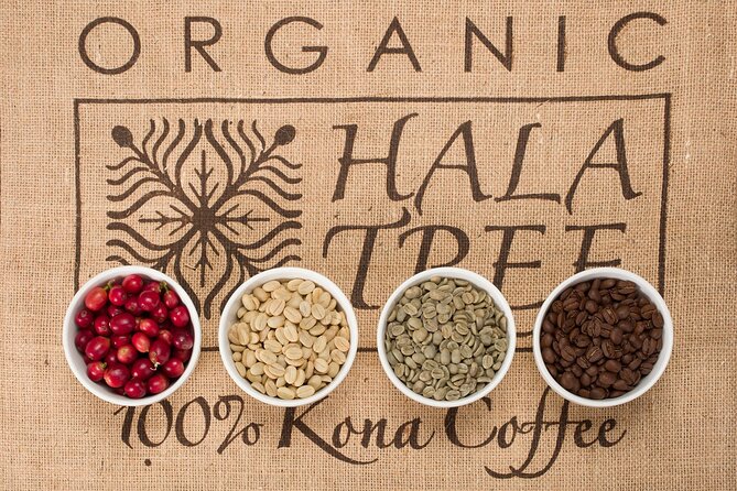 Kona Coffee Tasting: A Farm to Cup Experience - What to expect from the teaching style