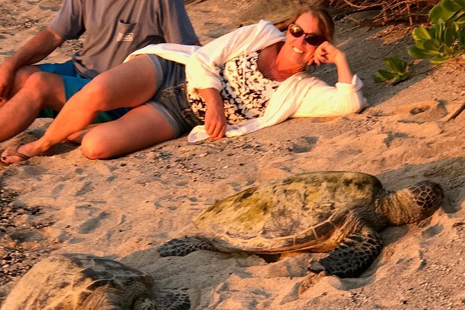 Kona Shore Excursion: Sea Turtles, Historic Kona & Coffee - How the $149 price holds up