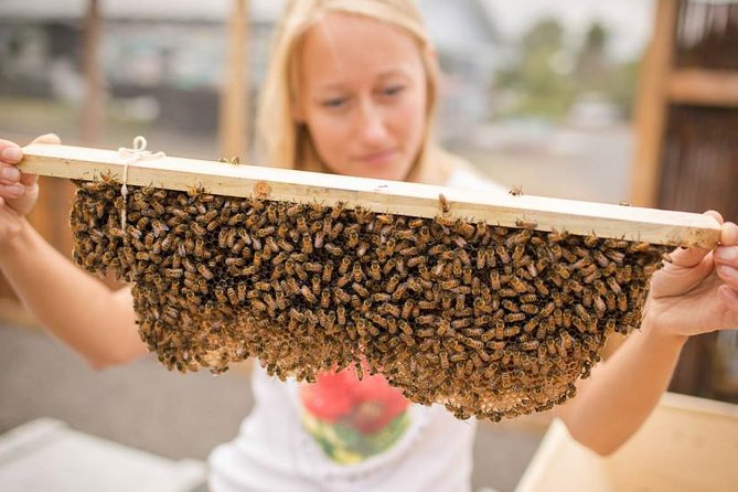 Kona Tour: Bee Farm, Kona Coffee, and National Historical Parks - A long day that connects Kona’s best themes