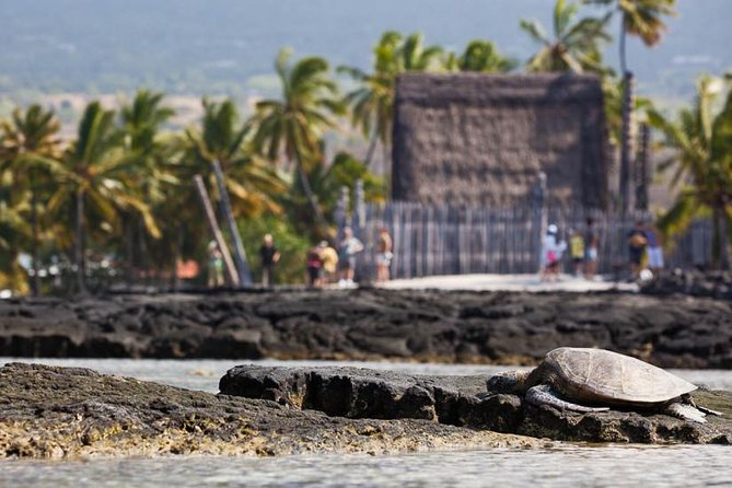 Kona Tour: Bee Farm, Kona Coffee, and National Historical Parks - What the minivan and group size mean