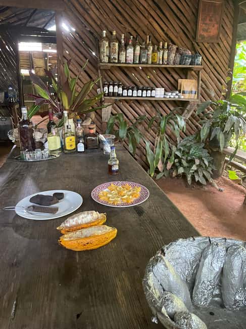 Las Terrenas: Private Coffee Trail ATV Tour in Samana - What $95 per person really covers