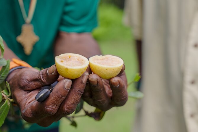 Liamuiga Natural Farm Tour - St.Kitts' Coffee Farm - Who will enjoy this St. Kitts outing most