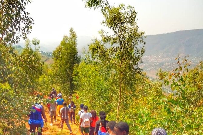 Local Community Tour(Cultural, Coffee,Village walk,Local food) - Cattle, milking, and medicinal plants