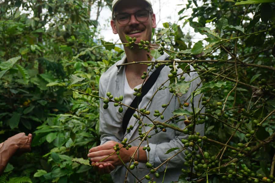 Lombok: Coffee Plantation Tour With Tasting - Returning to Konbayan for the tasting