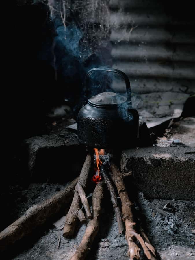 Lombok: Coffee Plantation Tour With Tasting - What $70 buys you in Lombok