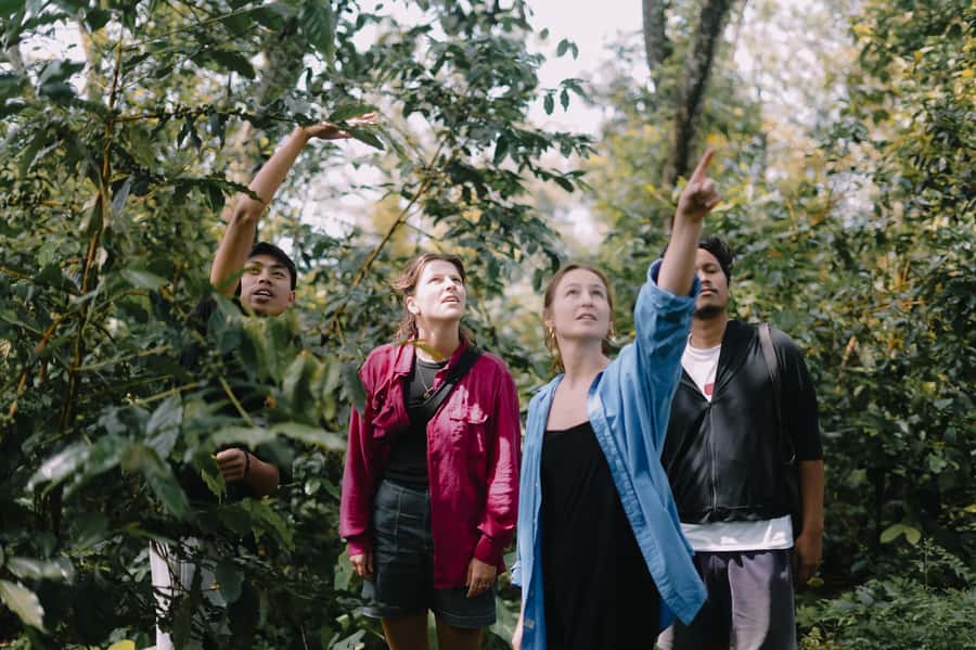 Lombok: Coffee Plantation Tour With Tasting - Walking among Arabica and Robusta trees