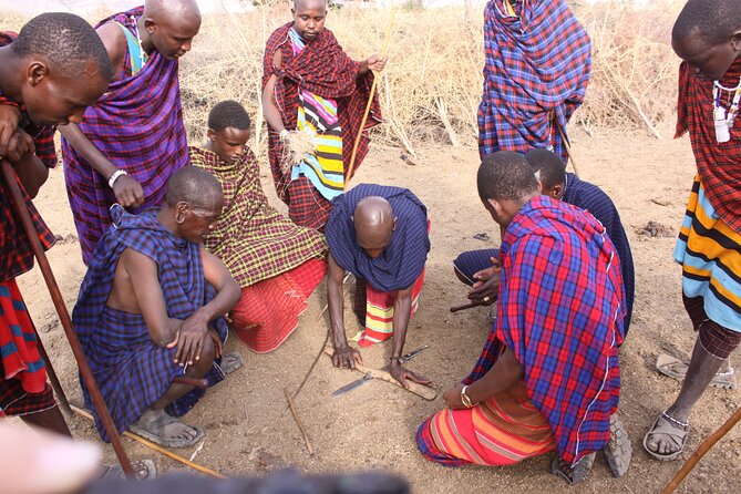 Maasai village visit, Materuni waterfalls & coffee experience - Transport, timing, and the $154 price