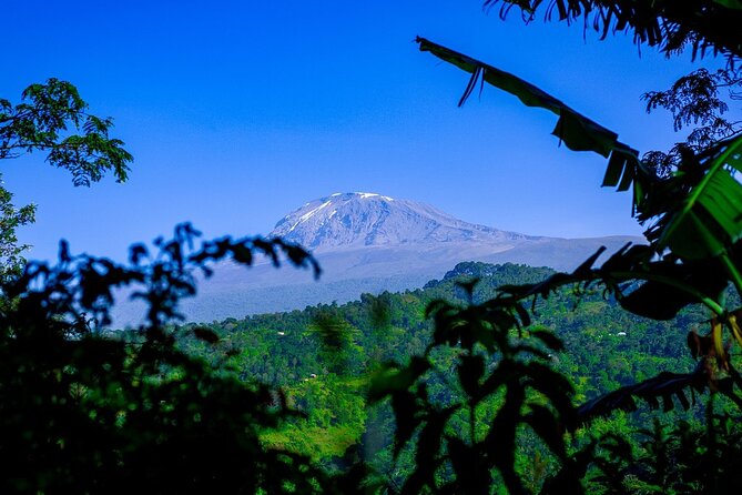 Maasai village visit, Materuni waterfalls & coffee experience - Should you book the Maasai and Materuni day?