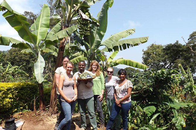 Marangu waterfall & Coffee making Cultural Tour | BURIGI CHATO SAFARIS CO LTD - Hiking to Ndoro Waterfalls