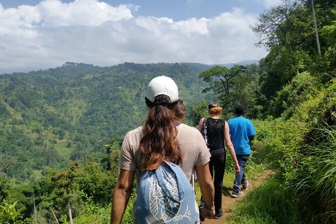 Materuni Thundering Waterfalls,Coffee Experience with Moshi Town Tour - Key points to know before booking