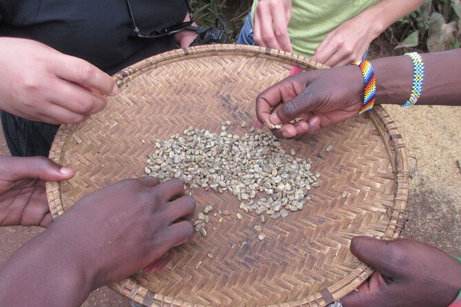 Materuni Thundering Waterfalls,Coffee Experience with Moshi Town Tour - Starting above Moshi on the road to Materuni