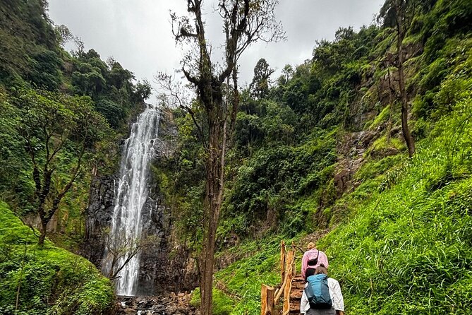 Materuni Waterfall Coffee Tour and Chemka Hot Springs Experience - What the $80 cost covers