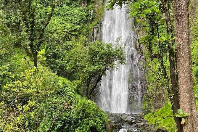 Materuni waterfall , coffee tour and hotsprings (chemka ) - Key points at a glance