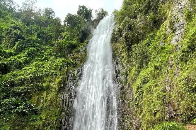 Materuni waterfall , coffee tour and hotsprings (chemka ) - Why this Moshi day trip works so well