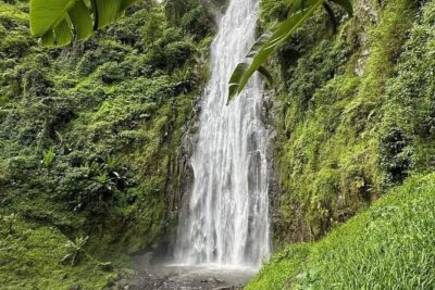 Materuni waterfall , coffee tour and hotsprings (chemka )