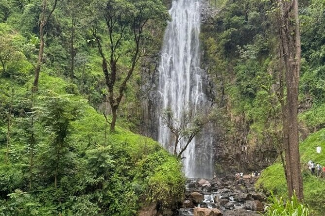 Materuni waterfall , coffee tour and hotsprings (chemka ) - What the Moshi town stop adds