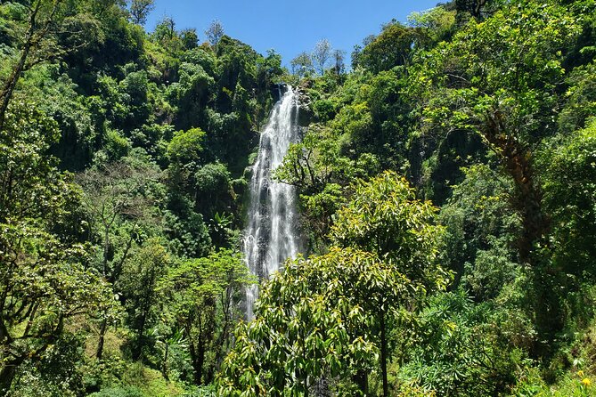 Materuni Waterfall, Coffee Tour and Picnic Hot Lunch - Why Materuni makes a good day trip from Moshi
