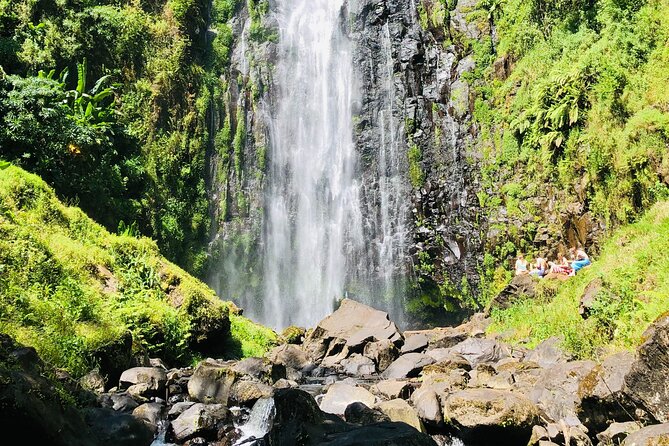 Materuni Waterfall, Coffee Tour and Picnic Hot Lunch - Materuni Waterfall and the cold swimming pool