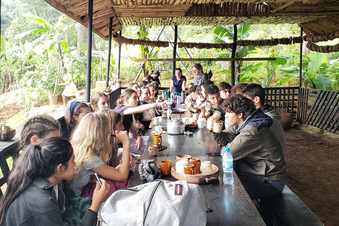 Materuni Waterfall, Coffee Tour and Picnic Hot Lunch - Learning how Chagga coffee is made