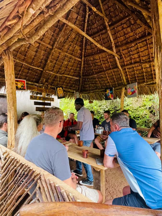 Materuni Waterfall, Coffee Tour & Hot Springs- Maasai tour - Materuni village and the first cup of coffee