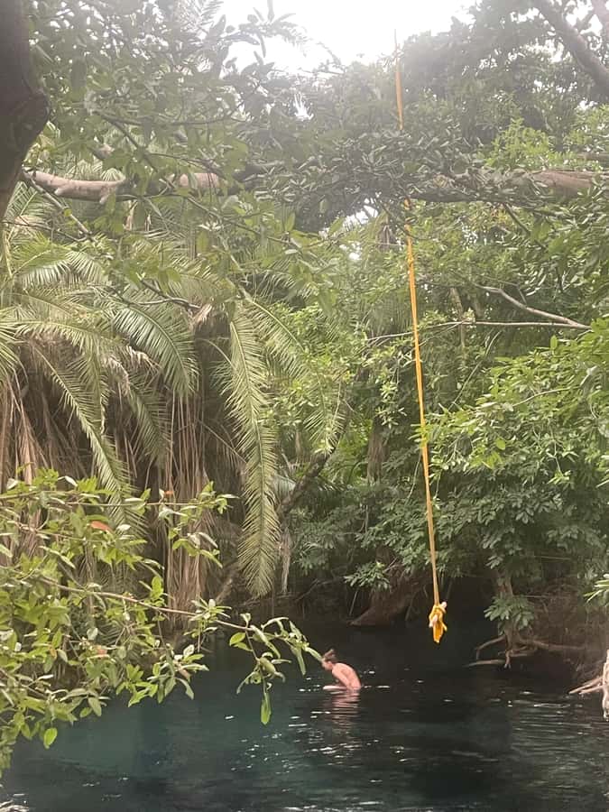 Materuni Waterfall, Coffee Tour & Hot Springs- Maasai tour - Should you book the Materuni and Chemka tour?