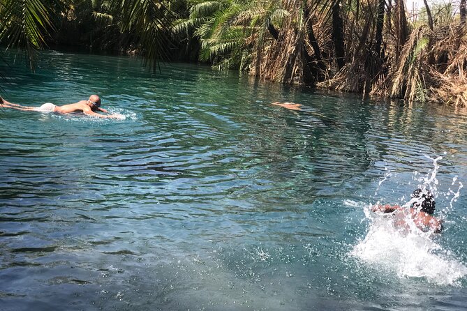 Materuni waterfall - coffee tour OR Chemka hot spring Tour - How the transport and guiding affect the day