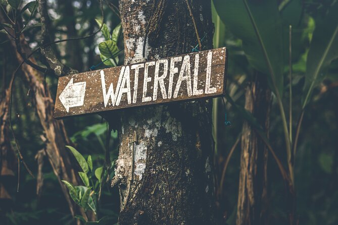 Materuni Waterfall Hike & Coffee Tour - Key points at a glance