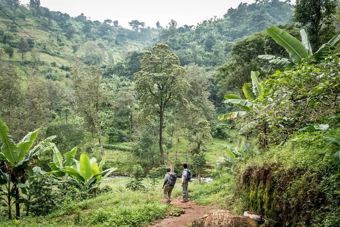 Materuni Waterfall Hike & Coffee Tour - Reaching Materuni Village from Arusha