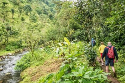 Materuni Waterfall Hike & Coffee Tour