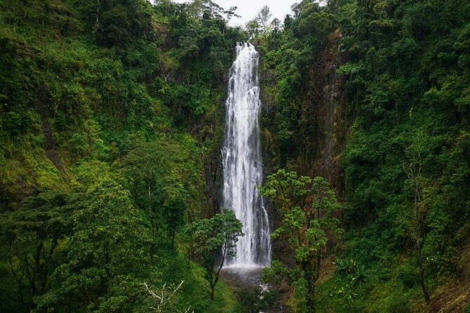 Materuni Waterfall Hike & Coffee Tour - Turning coffee beans into your morning cup