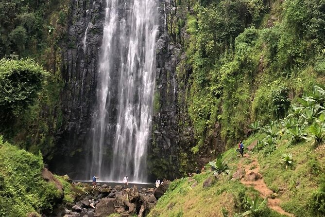 Materuni Waterfall Hike & Coffee Tour - Lunch, water, and the value of the $260 price